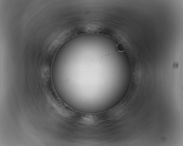 X0000111210079200907011455