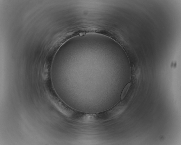 X0000111210080200907011455