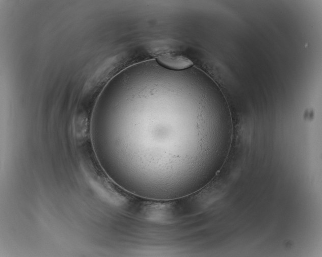 X0000111210081200907011455