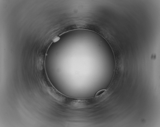 X0000111210082200907011455