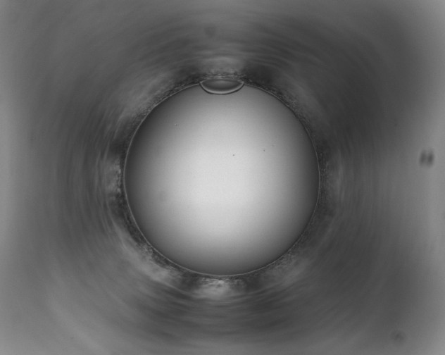 X0000111210083200907011455