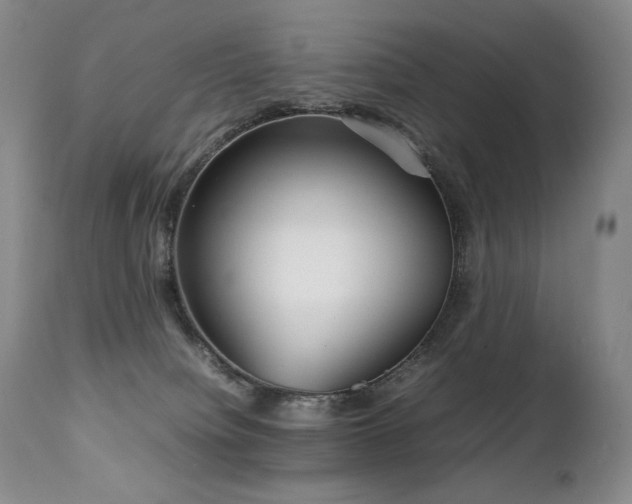 X0000111210084200907011455