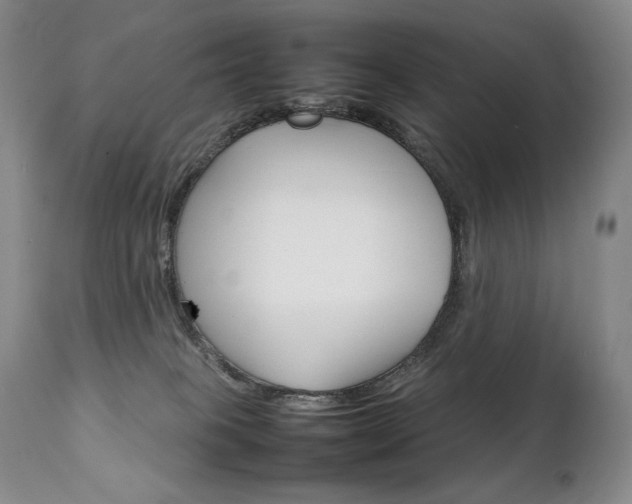 X0000111210085200907011455