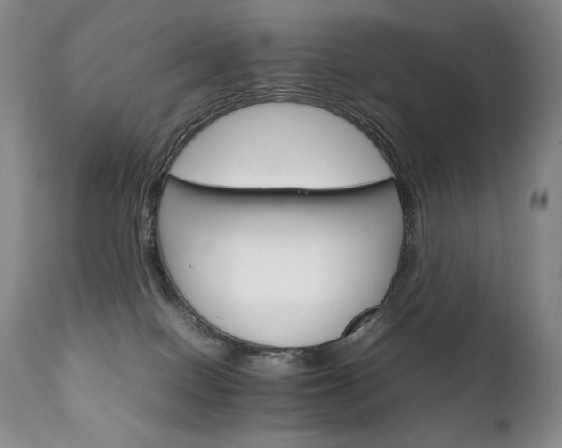 X0000111210086200907011455