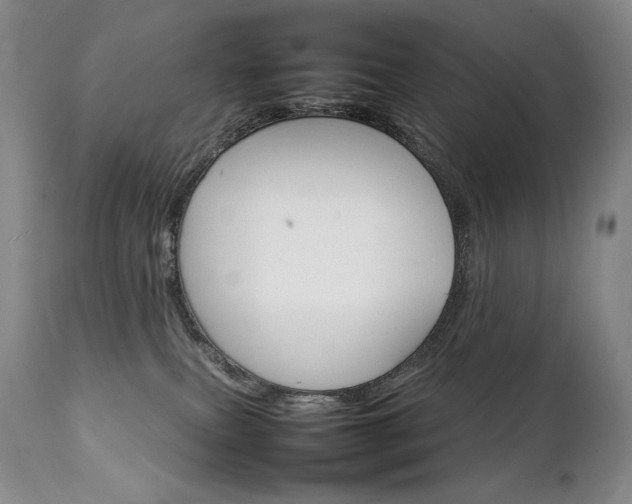 X0000111210087200907011455