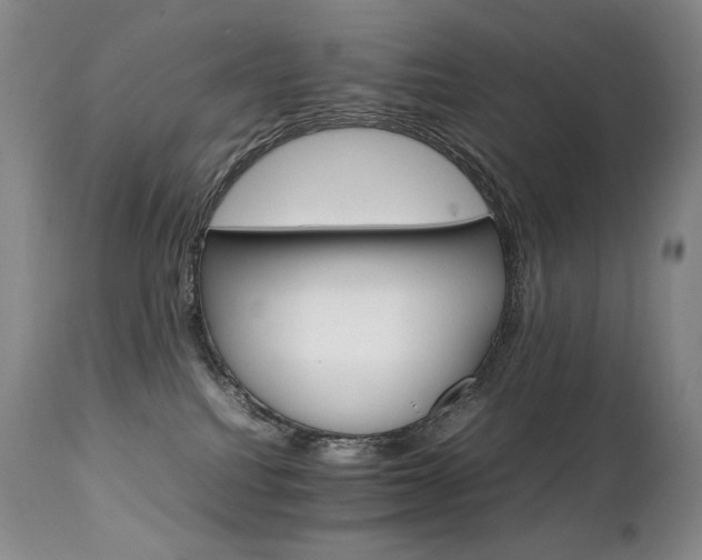 X0000111210088200907011455