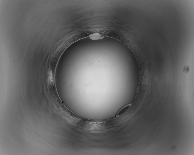 X0000111210089200907011455