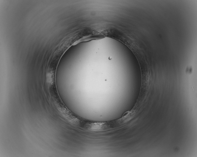 X0000111210090200907011455