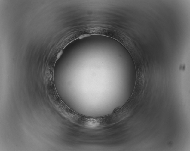 X0000111210091200907011455