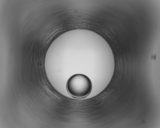 X0000111210092200907011455