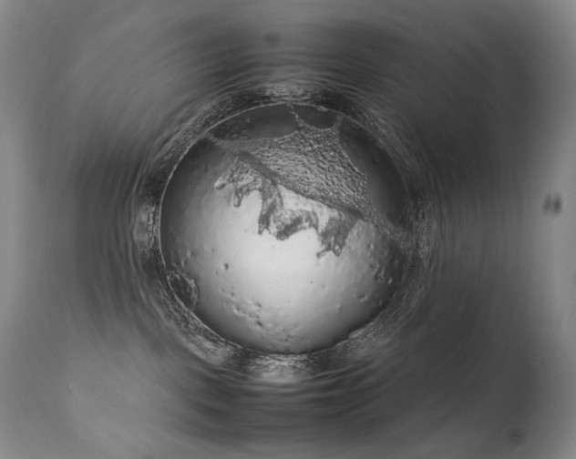 X0000111210093200907011455