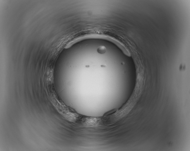 X0000111210096200907011455