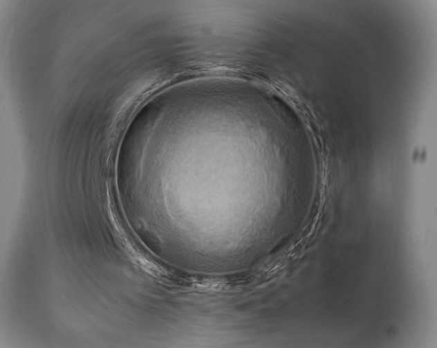 X0000111210097200907011454