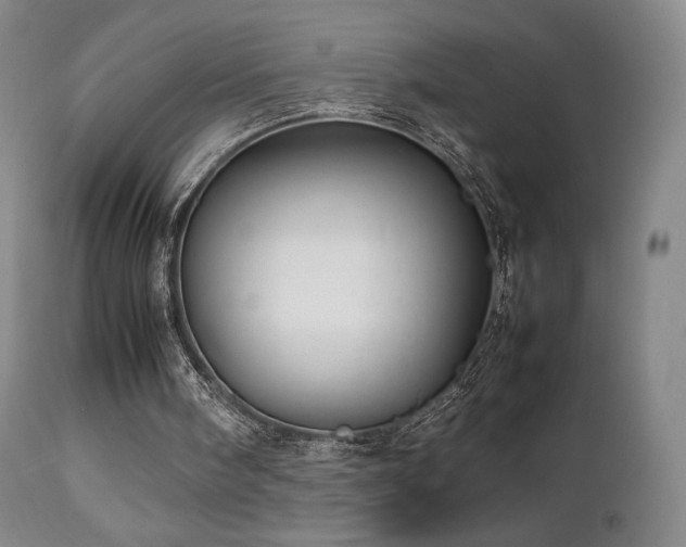 X0000111210098200907011454