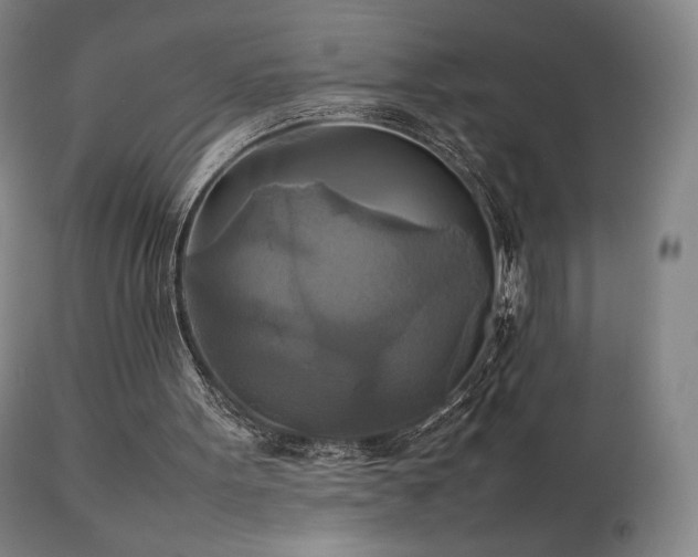 X0000111210099200907011454