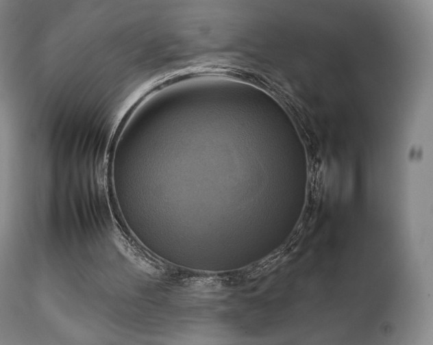 X0000111210100200907011454