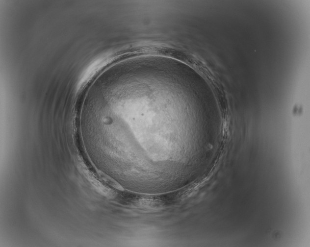 X0000111210101200907011454