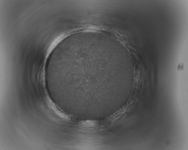 X0000111210102200907011454