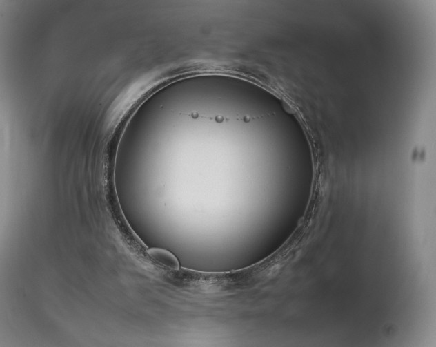 X0000111210103200907011454