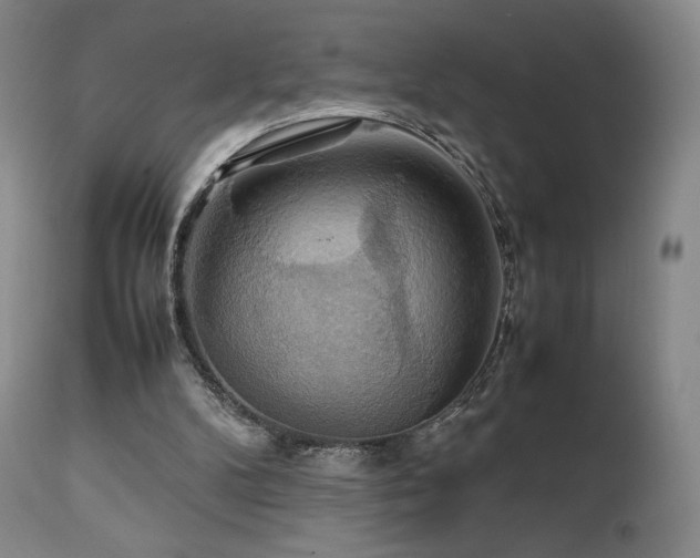 X0000111210104200907011454