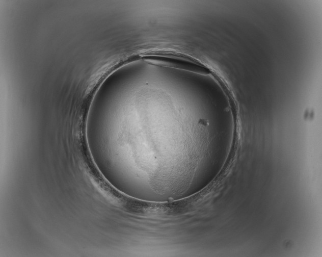 X0000111210105200907011454