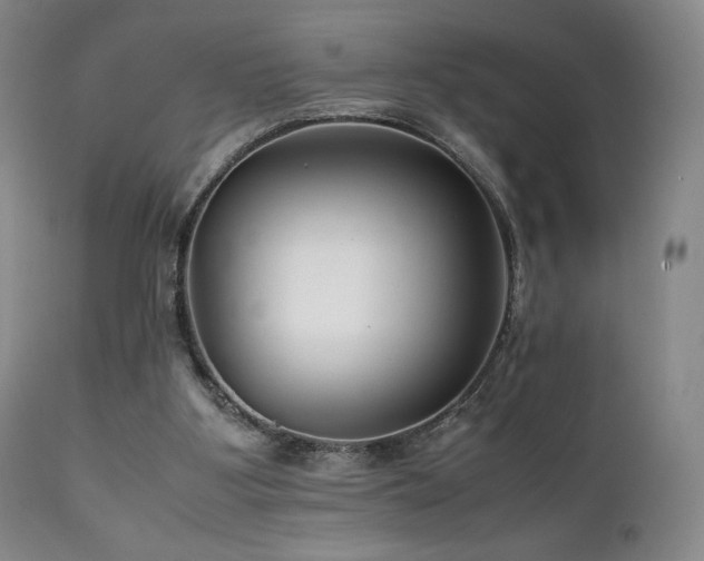 X0000111210107200907011454