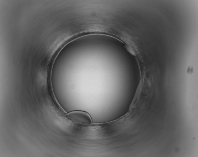 X0000111210108200907011454