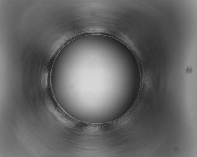 X0000111210110200907011454