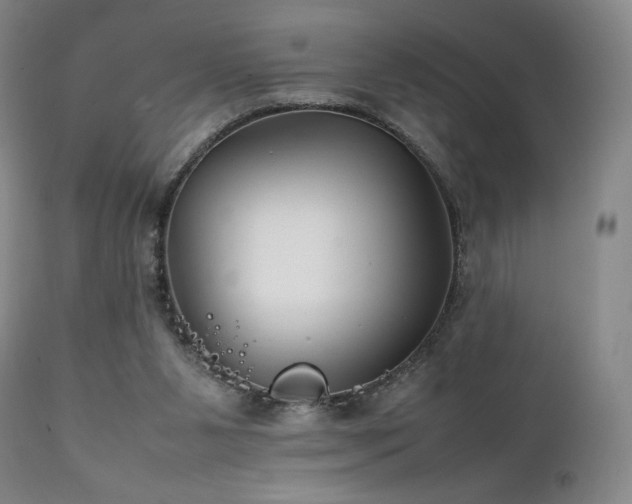 X0000111210111200907011454