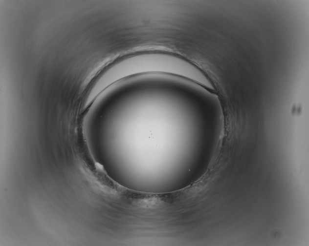 X0000111210112200907011454