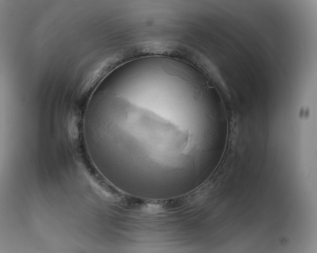 X0000111210114200907011454