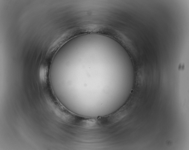 X0000111210118200907011454