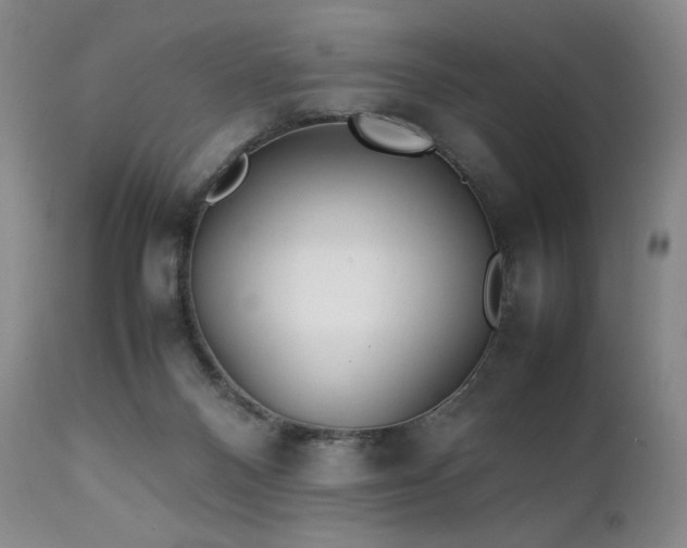 X0000111210120200907011454