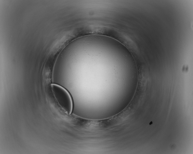 X0000111210123200907011454