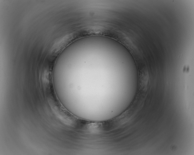 X0000111210126200907011454