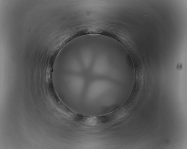 X0000111210127200907011454