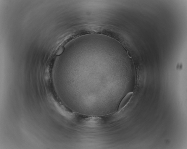 X0000111210128200907011454