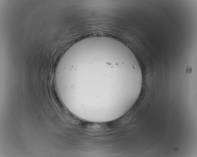 X0000111210129200907011454