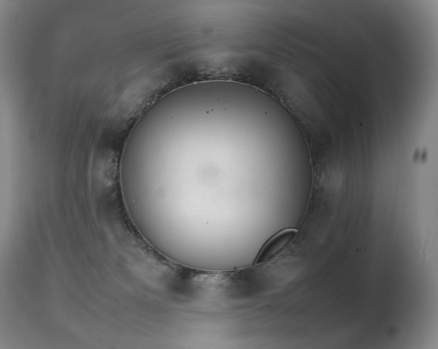 X0000111210133200907011454