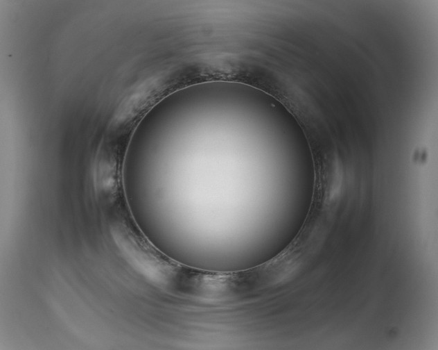 X0000111210134200907011454