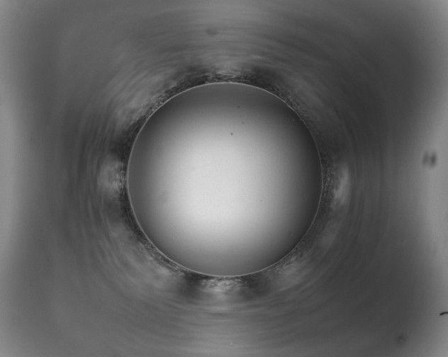 X0000111210135200907011454