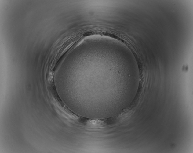 X0000111210137200907011454