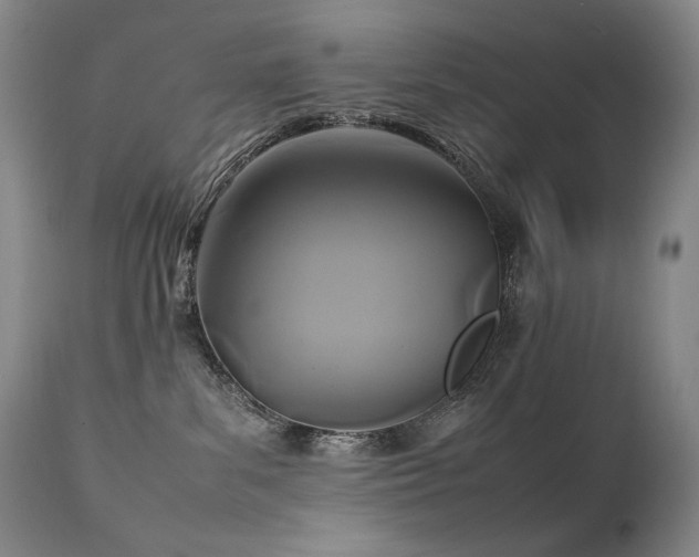 X0000111210139200907011454