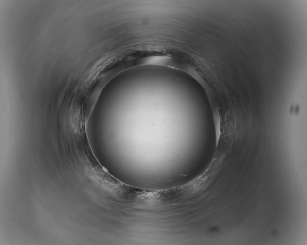 X0000111210140200907011454