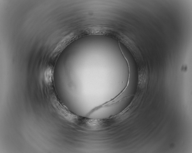 X0000111210142200907011454