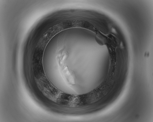 X0000111210143200907011454