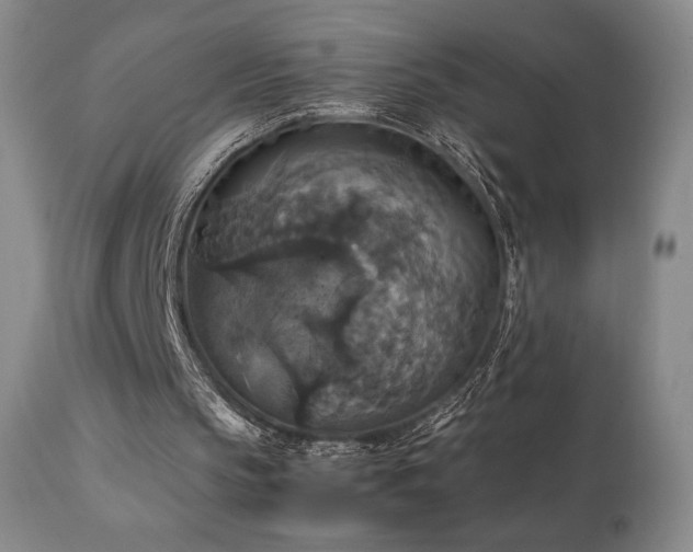 X0000111210145200907011453