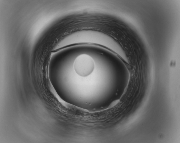 X0000111210146200907011453