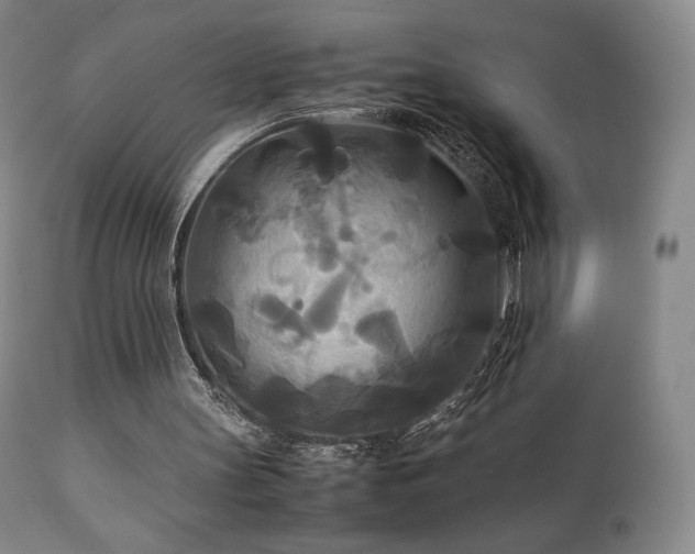 X0000111210147200907011453