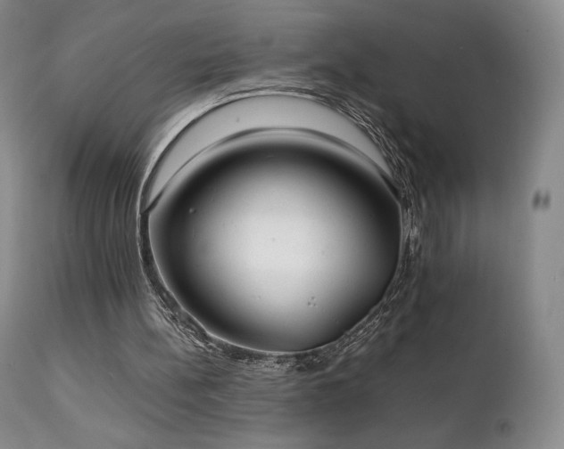 X0000111210148200907011453